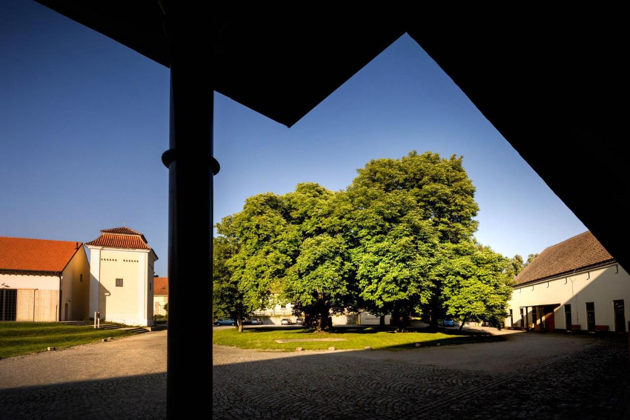 Penzion Pansky Dvur Telč Extérieur photo